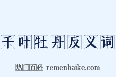 千叶牡丹反义词是什么意思的图片